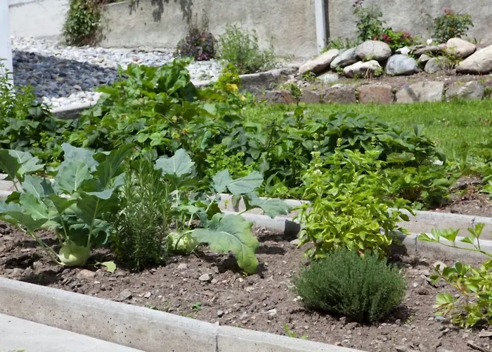 Chasa Sofia ホテル